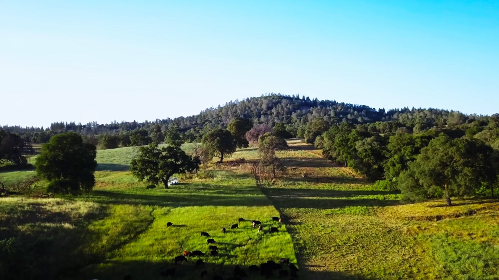 A New (re)generation