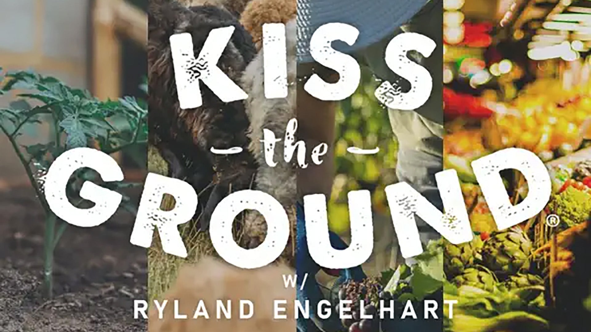 A New (re)generation with carrie richards and mallory cunningham