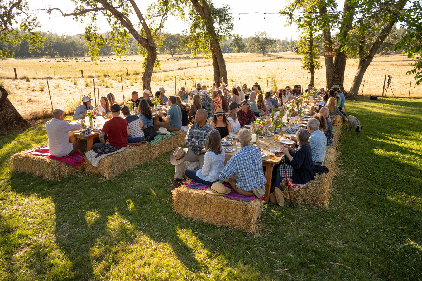 2026 Regenerative Supper Series: Every Cut Matters