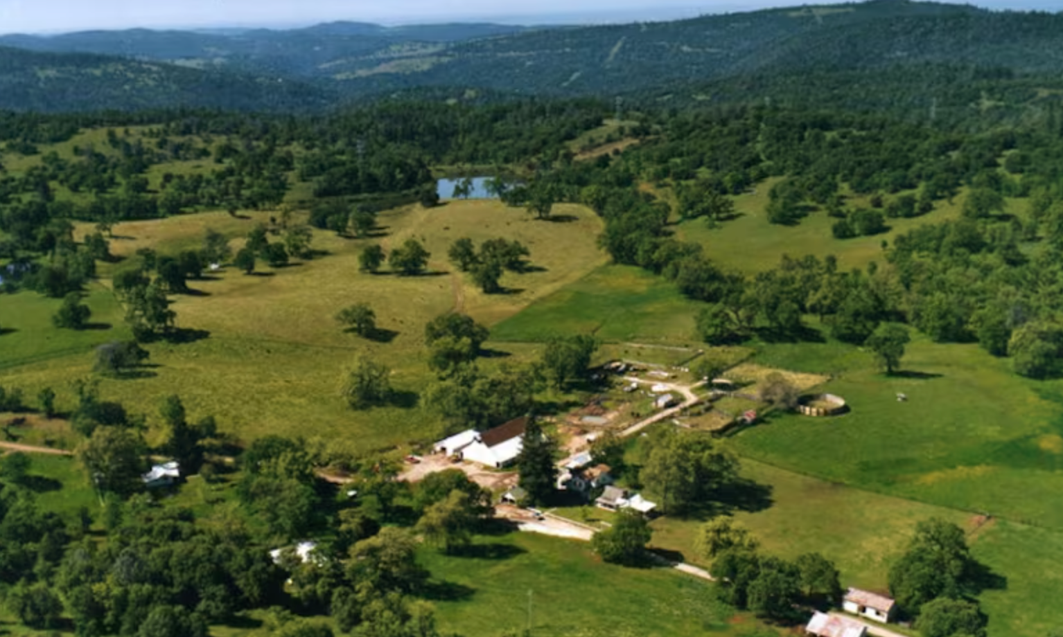 Regen Ag In practice: How a California Rancher Used Sustainable Farming Practices to Improve Animal Welfare