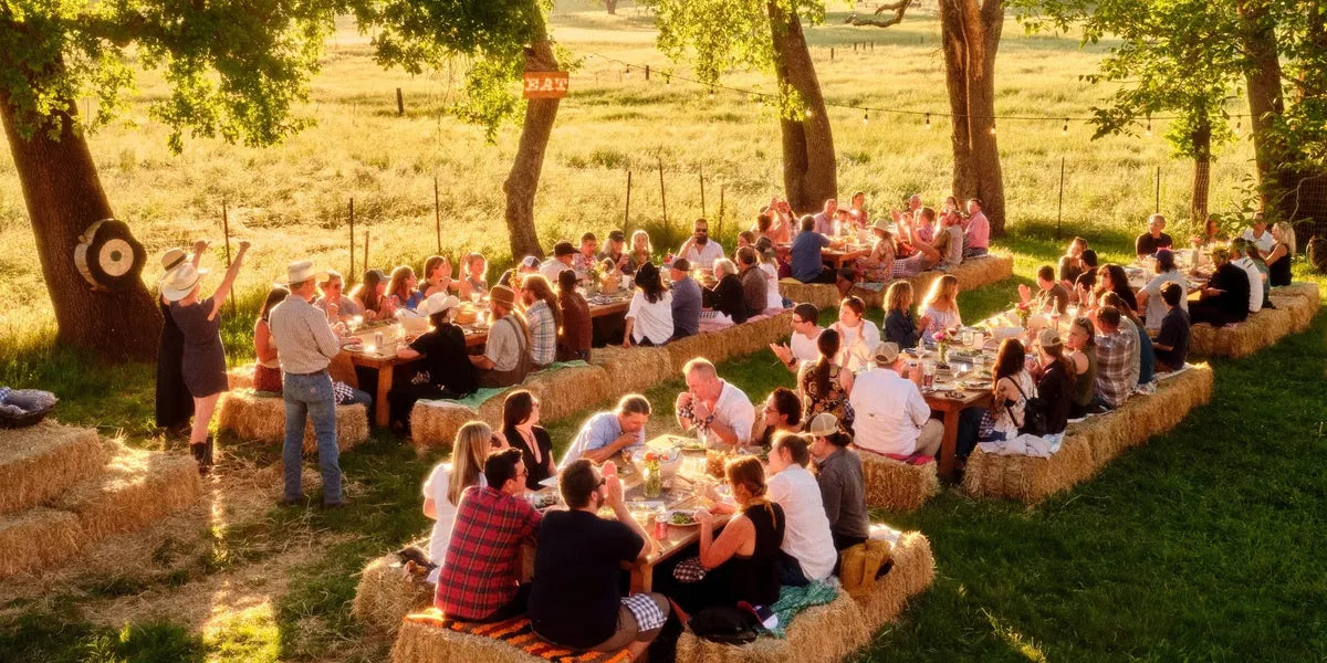 The Regenerative Supper Series: Every Cut Matters