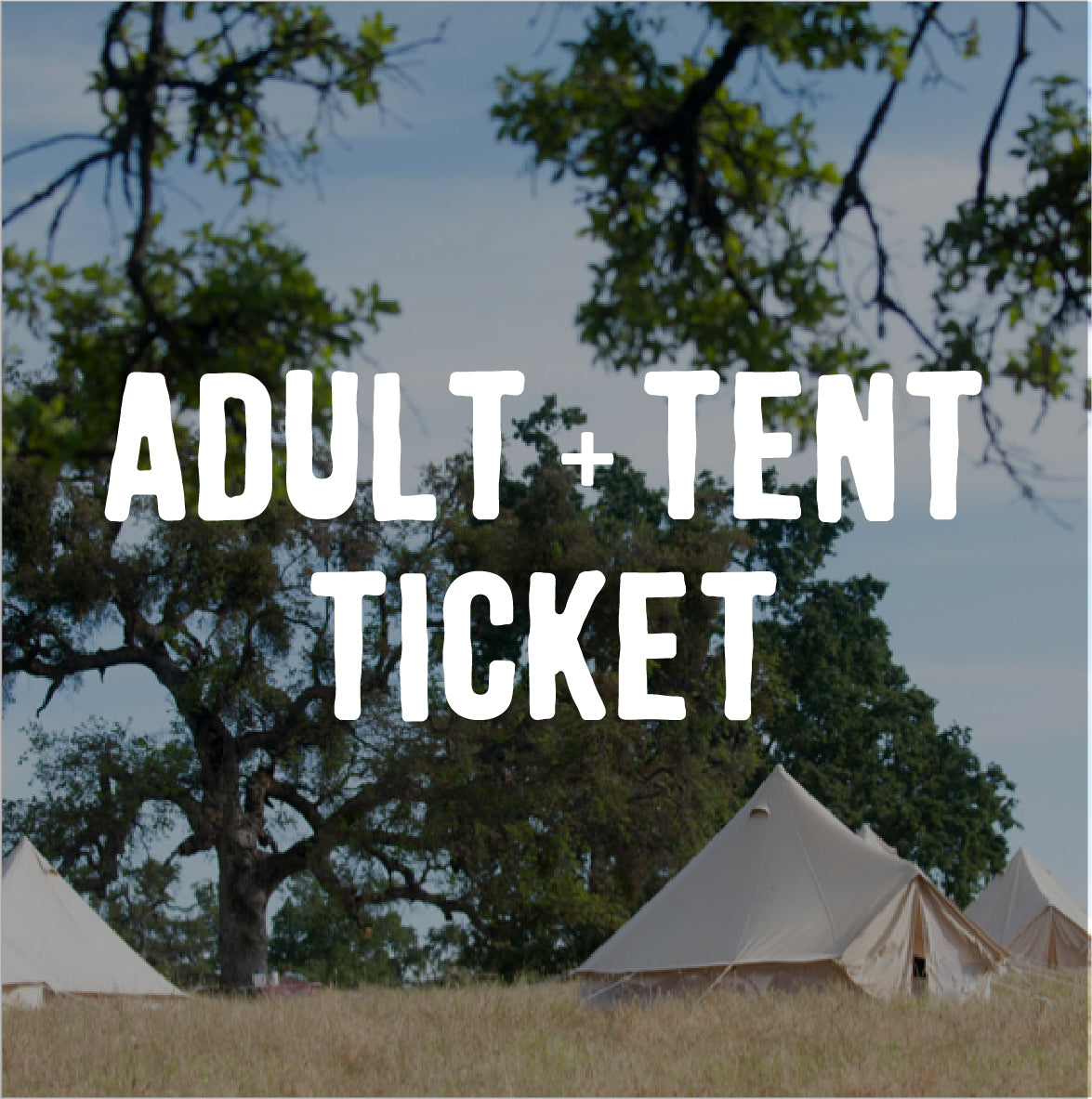 TWO ADULT OVERNIGHT RANCH DINNER TICKET 2026