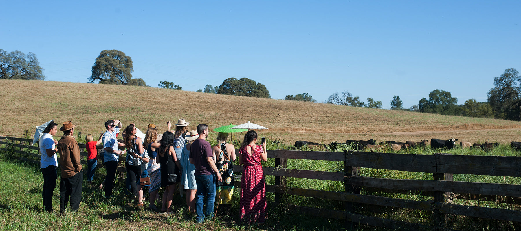 Richards Regenerative News & Press